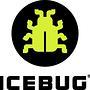 Icebug Winter Trail 2019