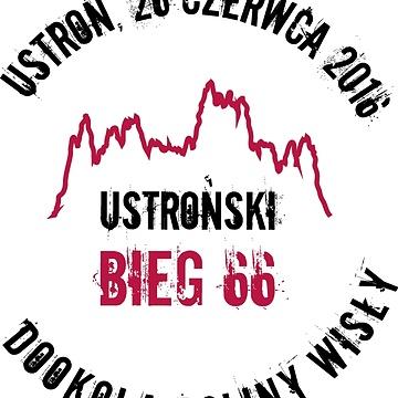 Bieg dookoła Doliny Wisły 2019