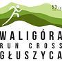 Waligóra Run Cross 2020