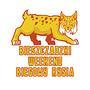 Bieszczadzki Bieg Rysia 2021