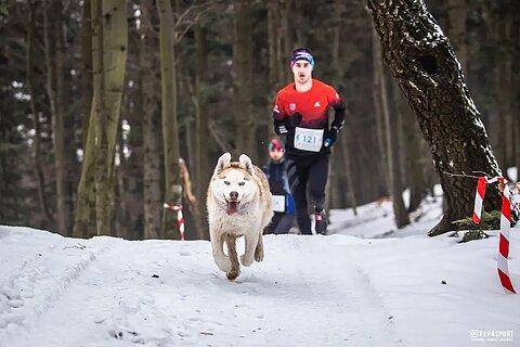 Krzysztof durante Pogórzański Bieg Górski - Zima 2024
