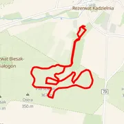 Mapa del recorrido
