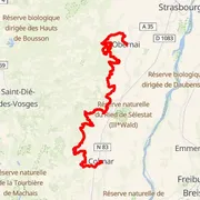 Mapa del recorrido