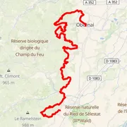 Mapa del recorrido