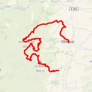 Mapa del recorrido