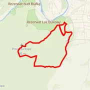 Mapa del recorrido