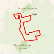 Mapa del recorrido