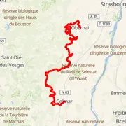 Mapa del recorrido