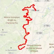 Mapa del recorrido