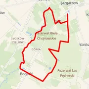Mapa del recorrido